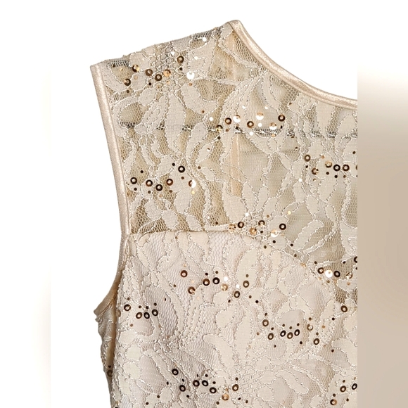Stunning High Low, Lace, Off-white, Gold sequence dress - Picture 4 of 5